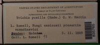 Image Associated With the Occurence